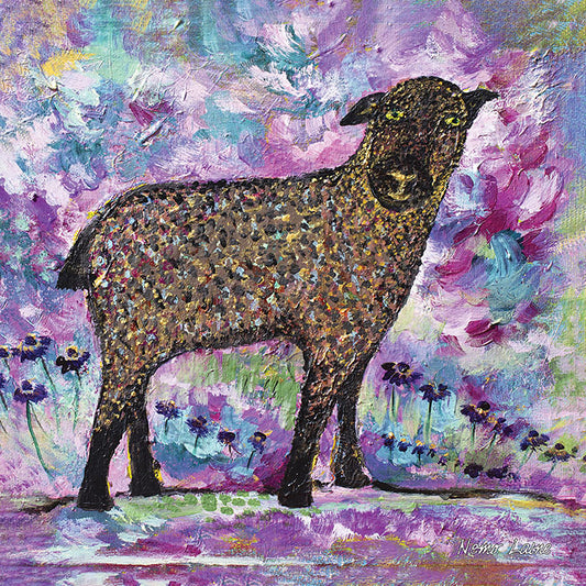 The Curious Sheep